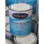 Antifouling semi érodable MI