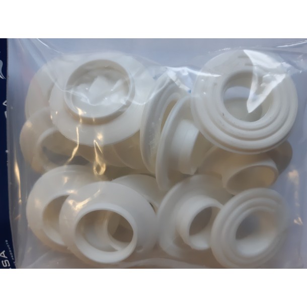 Œillet blanc  