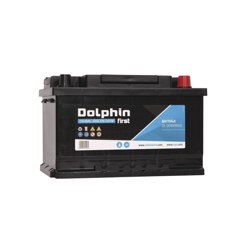 Batterie Dolphin First 70A