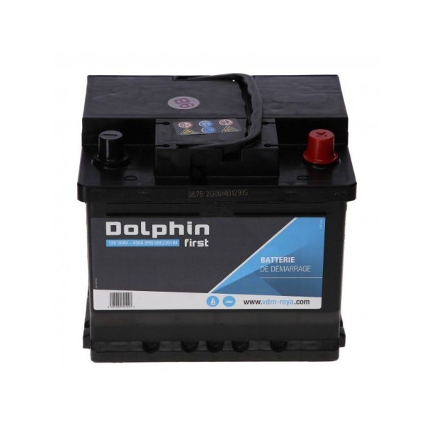 Batterie Dolphin First 50A Batterie Dolphin First 50A