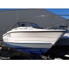 Bayliner Trophy 2002 Walkaround Moteur 150CV