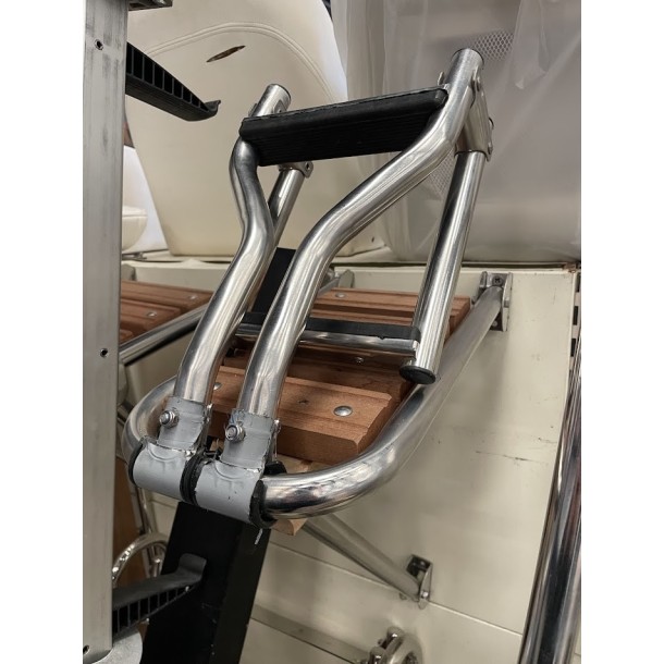 Plateforme de bain avec échelle 2 marches